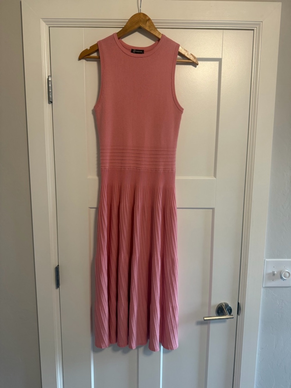 Pink Sleeveless Pleated Dress - Elegant Everyday - Picture 16 of 16